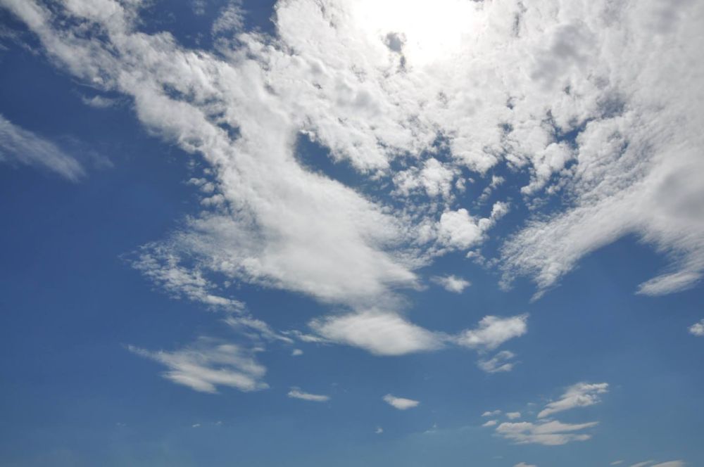 ������ ������ �� �������� ����������� �������������