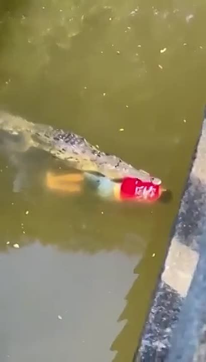 ���������� �� �����-���� ������ ��������