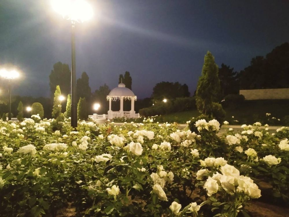 �������� ������� ���������