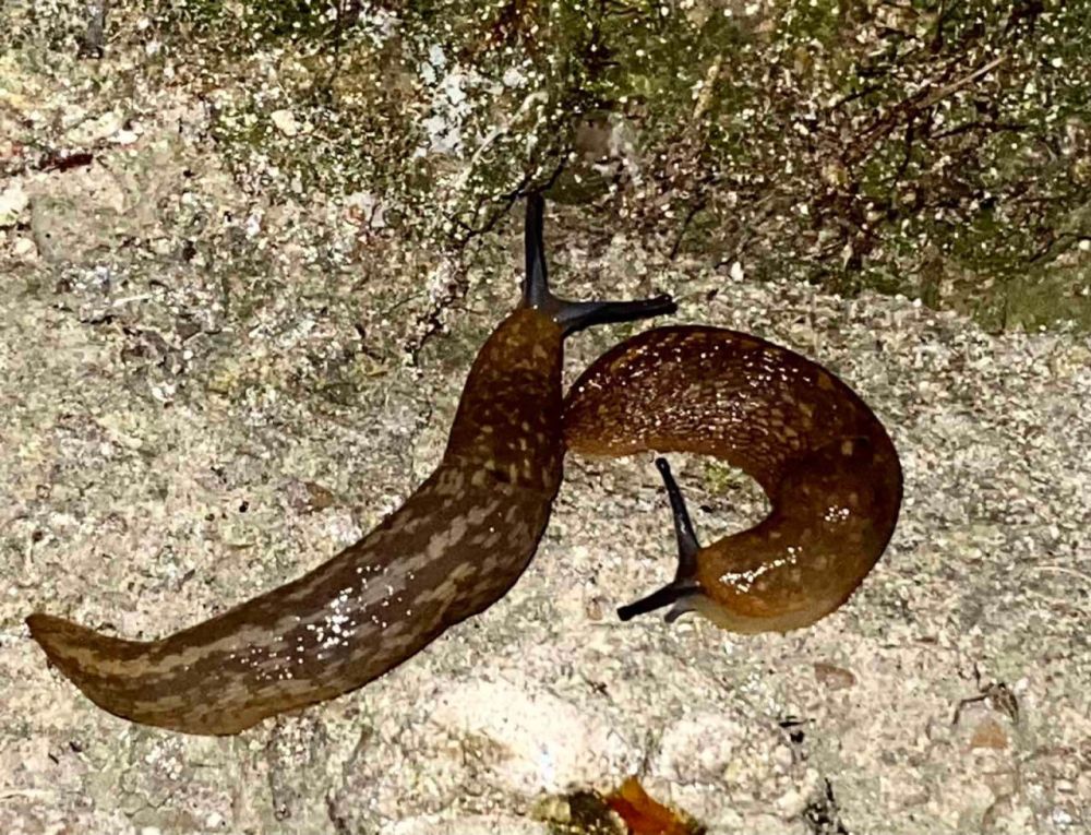 � ���������� ����� � ����� ������ � �������, �������� ������ �� ��������� ������� �� �����?�