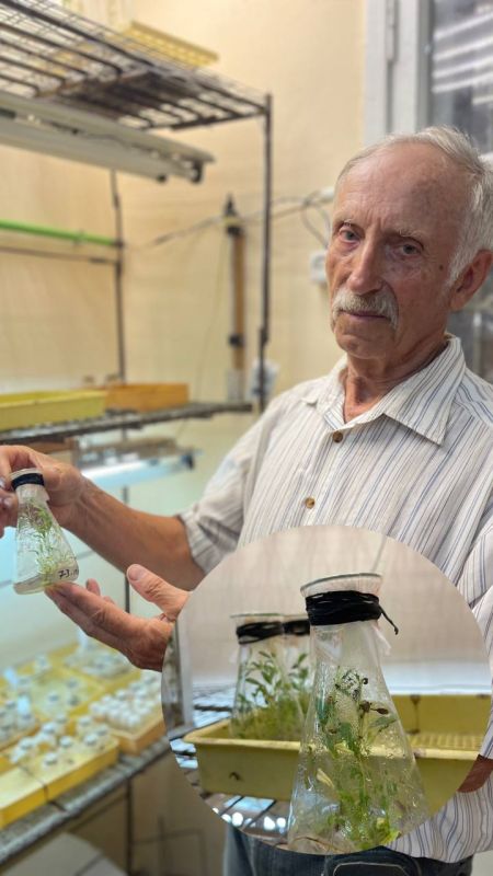 � ������������ ���� ��� ���������� � ��������� ������������� ������, ����� ��� ����� � �������������