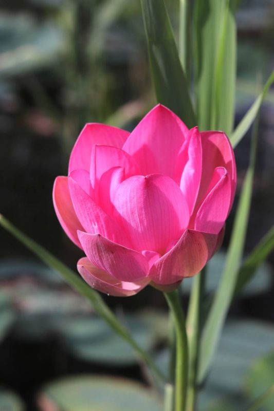 �� ������������ ������������� ����� �� ������ ����������� ������� � ����, ������� ������� � �������������, �� � ������� ������