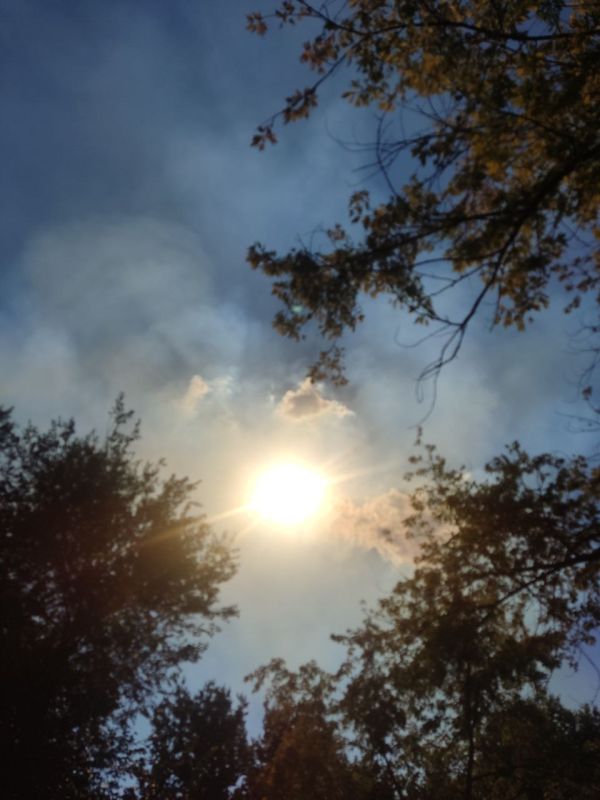 �������� ������ � 16:15 ������