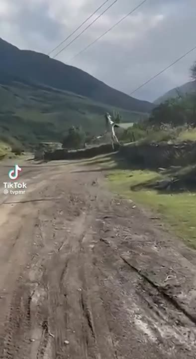 ��������, ������� �� � ����������, � ��� 1000 � 1 ����������� ��� �������