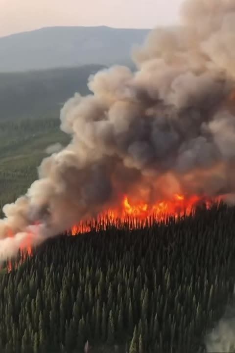 ������ ������ � ������ �� ������������ ��� ��������� �������