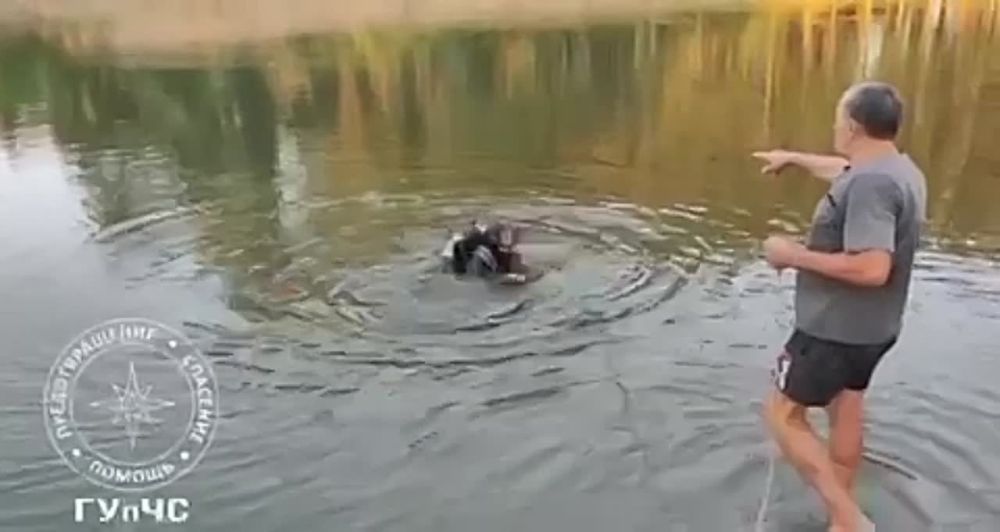 ������ ������ �� ������������ ������ � �����������