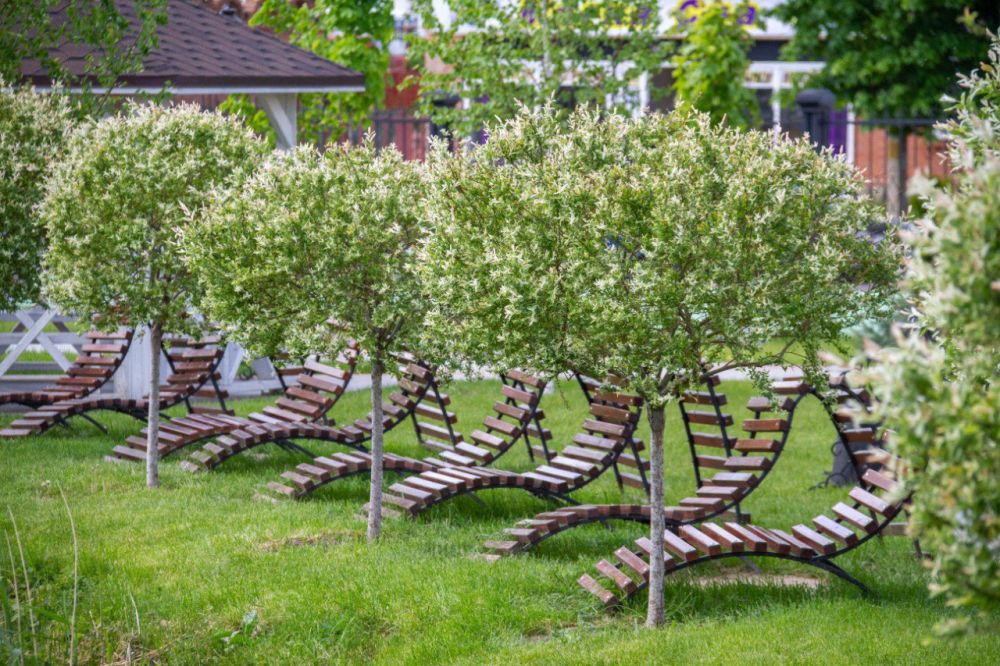 ������� � ��� �� ����� �������