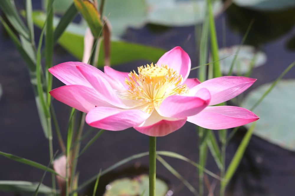 �������� �������. �� ������������ ������ � ����������� ������� ������ ������