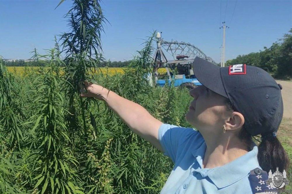 ������ � �������. ��������� ����� ������������ ������� ������� � ������������ ���� ���������� ���������� ���������� ������� � ������������� ������. ����������� ���������� � ������ �������� ���� � 2023�