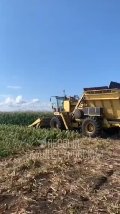 � ��������� �������� ��������