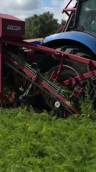 ������������� �����, ��� �� ����� � �������� ������ ���� ������ �������