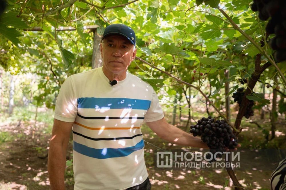 ����������� ������������� ���������� � �������� ������� ��������