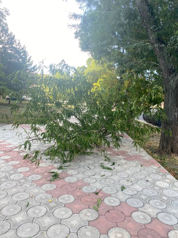 �� ��������� � ��������� ����� ������� �����