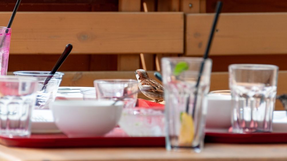 �������� ��� ������� �� ���� ��� ������� ��-�� ����� �� ���������� ������