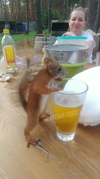 � �������� ������� ����� ������ ���� � ���������� �����.