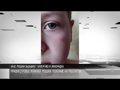 ������������� � � ����. �� ������ ����� �� ����� ���������� �����. ����, ���������, �������� � ��� ���� ��������� ��������