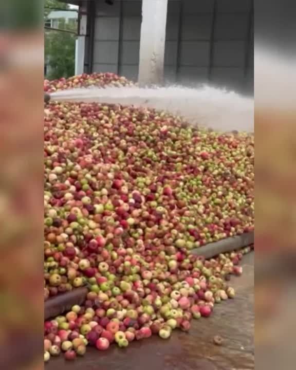 �� ���������� ������ � ������� �������� �����