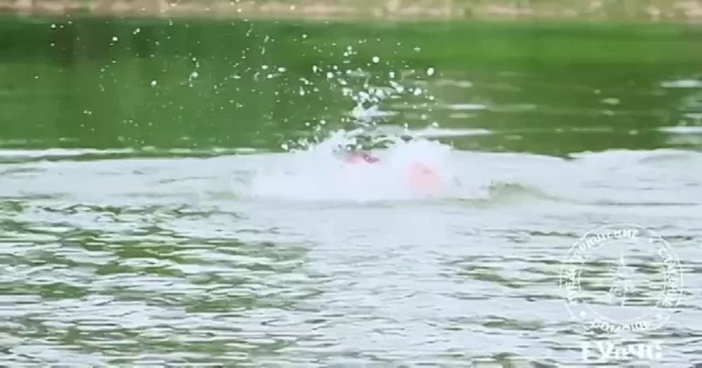 ������ �������� ����. � ������ ���������� ������ � ������� ��� ������� 9 �������. ��� �������� ��������� � ������ ��������������� ��� �������