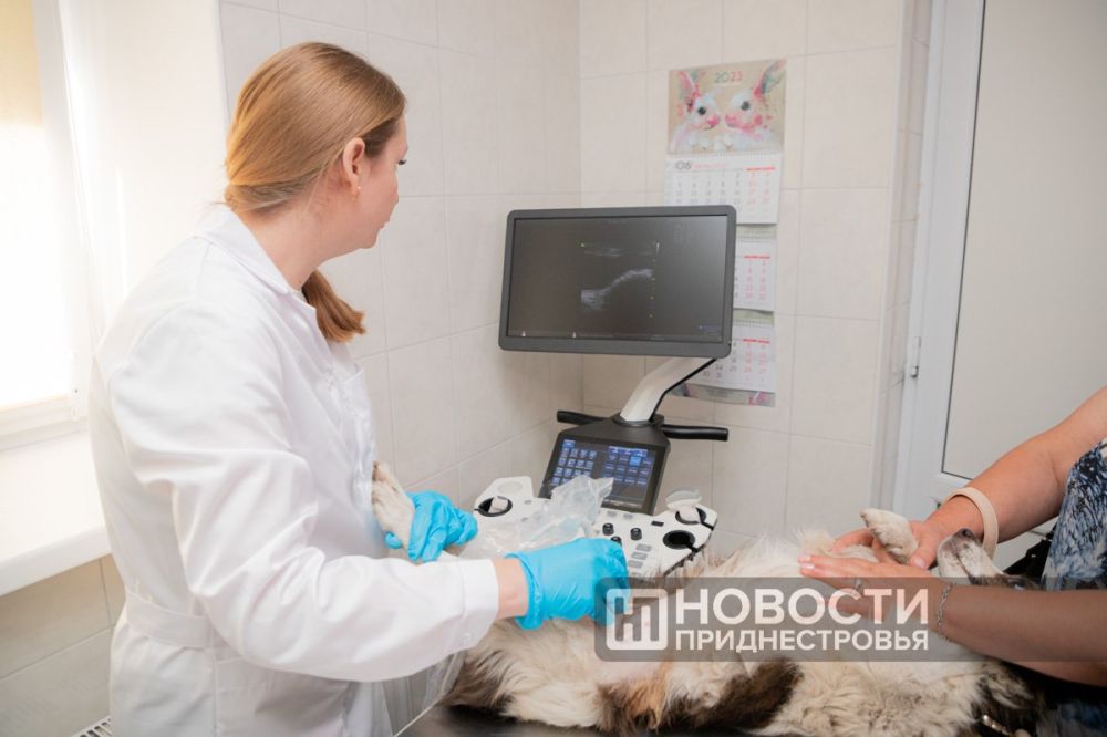 �������� ���������� �������������� ������� ��������� � ������������ ������ ���������