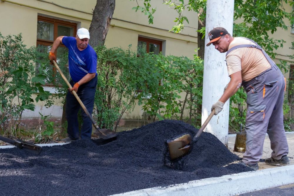 ����� ������� �������� �������: