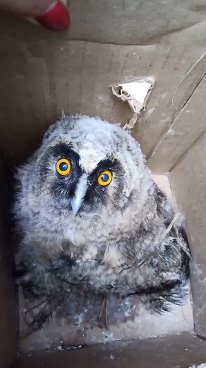 ���� ���������� �������� ����� ������ � ��������, ��� ������ ������ �� �����