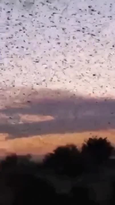 ������� ������ �� ������������ �������.