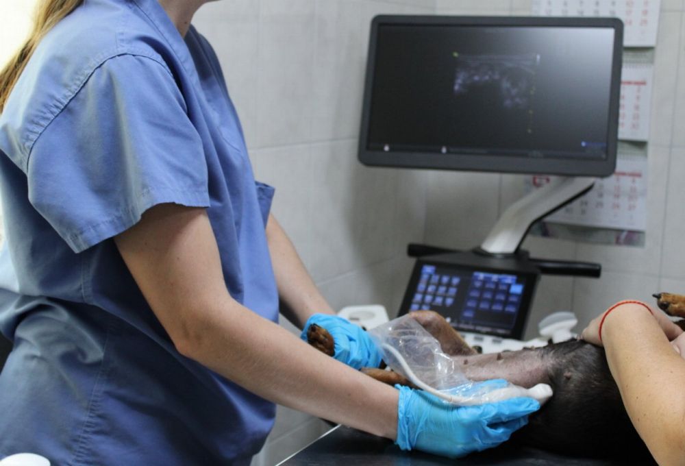 ����� ������� ��� ��������� � ��������� ������������