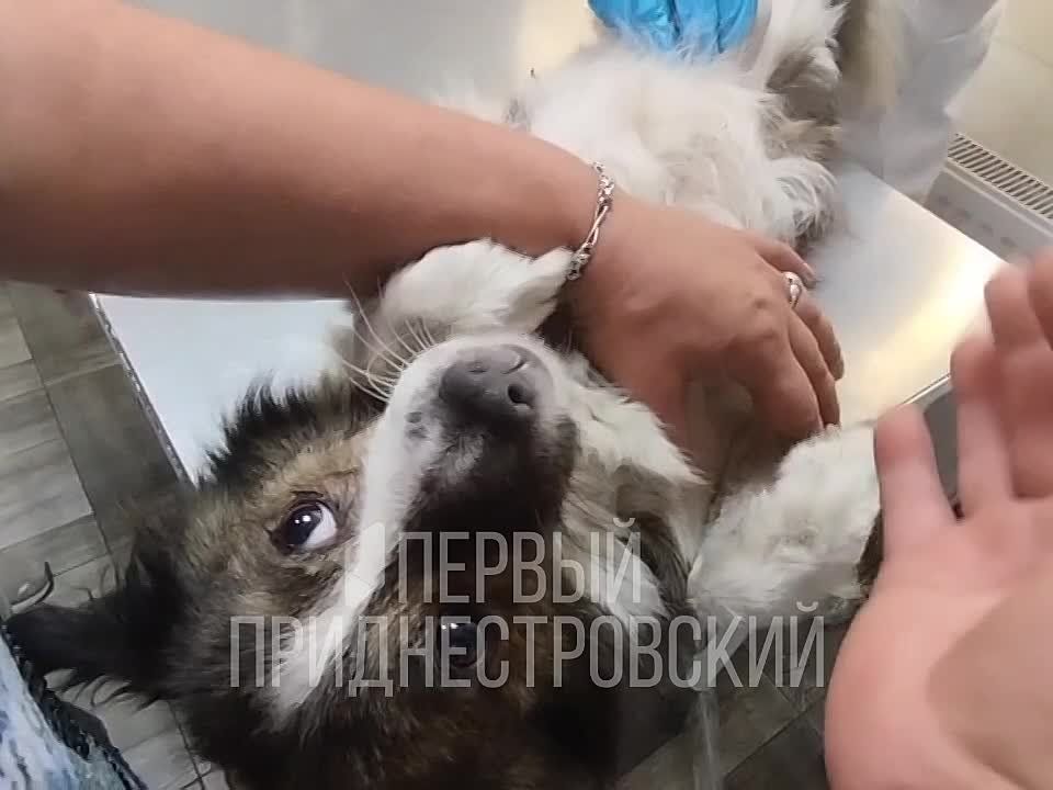 � ��������������� ���������� � ����� ������� ���. ���� �� ������ �� ������ � �������������, �� � � �������