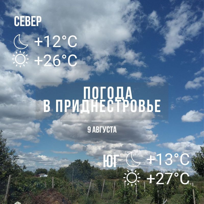 ���� ����� ��������� �����