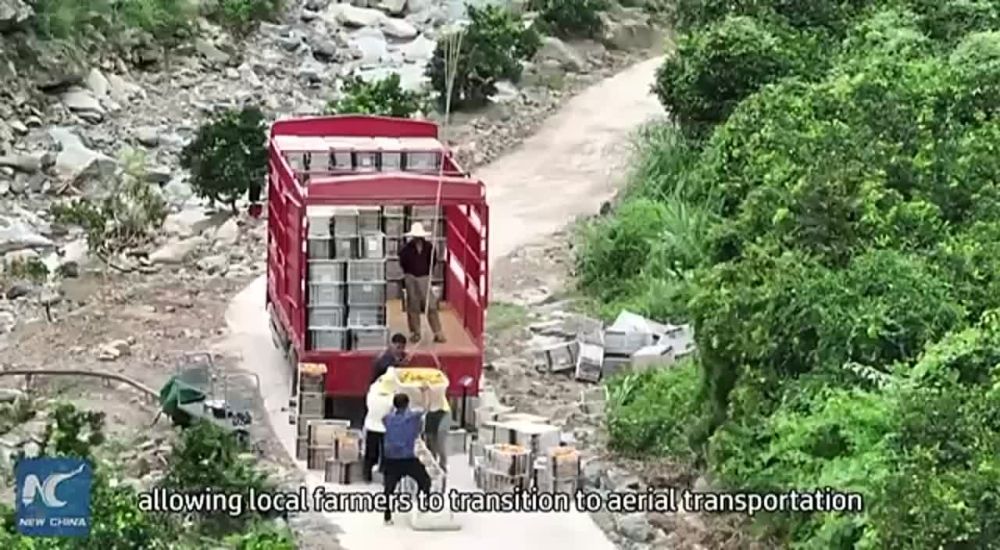 �������� ����: ��������� ������� ������������ ����� ��� ��������� ������, ����� �� ������� ��� �� ����