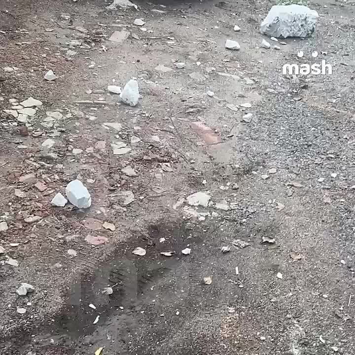 ���������� ������������ �� ���� ����������� �� 15 �������