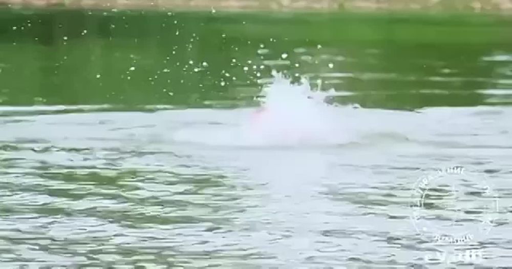 �� ������ �� ����. ���������� ������� � ����� �������� ���������� ����� ����� ��������� ����� �������, ��������� ���������, ��� ������� � ��������������� ����� �������� �������� � ��������