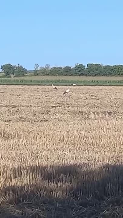 ����� ��������� �� ���� ����� ������������ � ��������� � ��������� ������