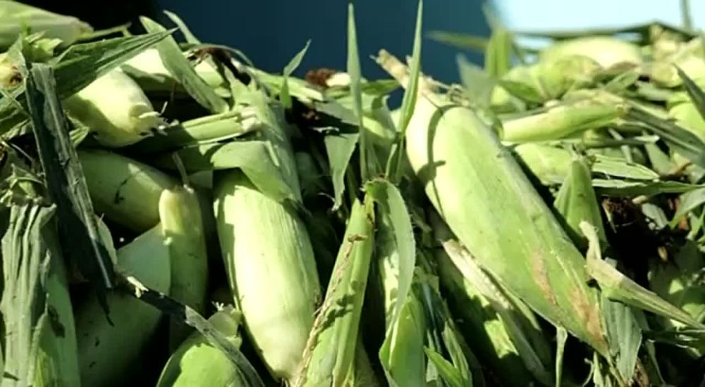 ����� ��������� �������� ������� ����� ��������� ������� ��������