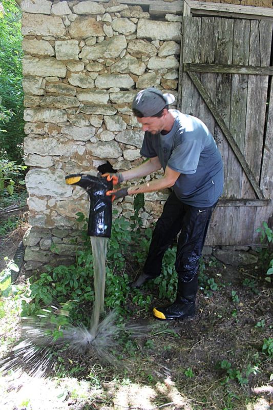 ������ ��������� ����