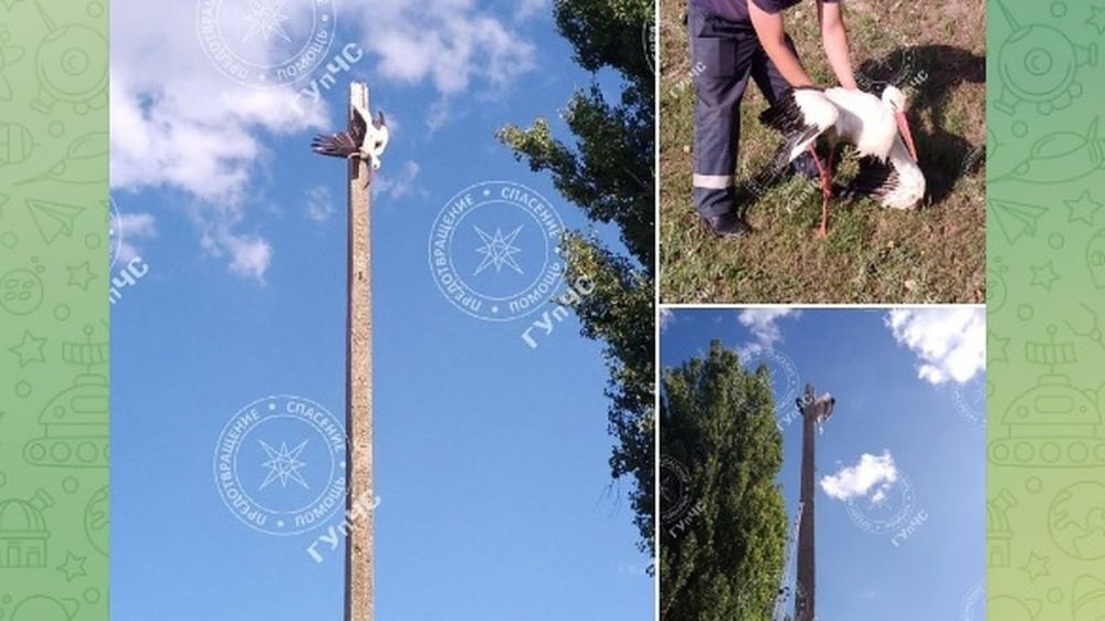 ������� ������� - � ����: � ������������� ������ �����, ������� ��������� � ��������