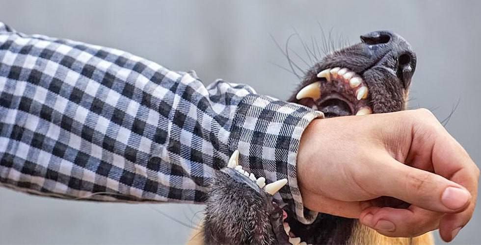 � ���� �� �������� � ��������� ���������� 164 ��������, �� ��� - 51 ������