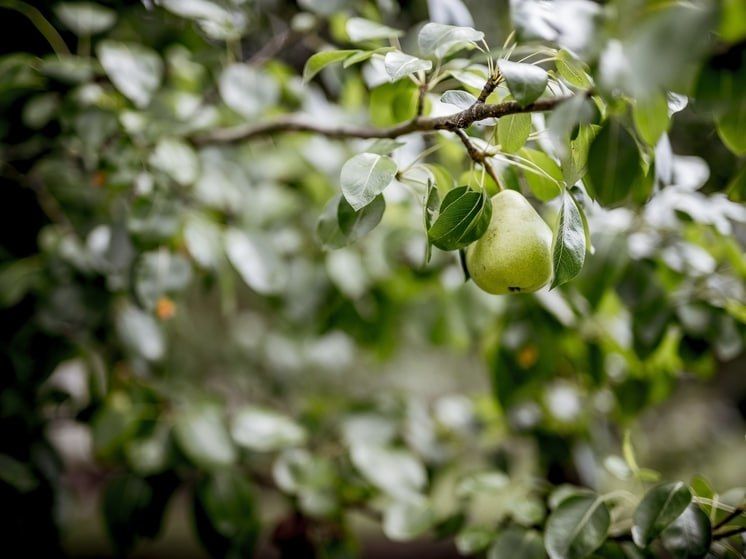 �������� ����. ������������ ������� 10 ������� ���� ������ ������� � ������ �� ���������� ������� ���������, ������� � ���������� ������ �� ����, �������� ����������� � ��������� ���������