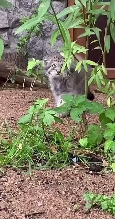 � ������������� �������� ������ ������� �� 16 ��� ������� ������� �������������� ������