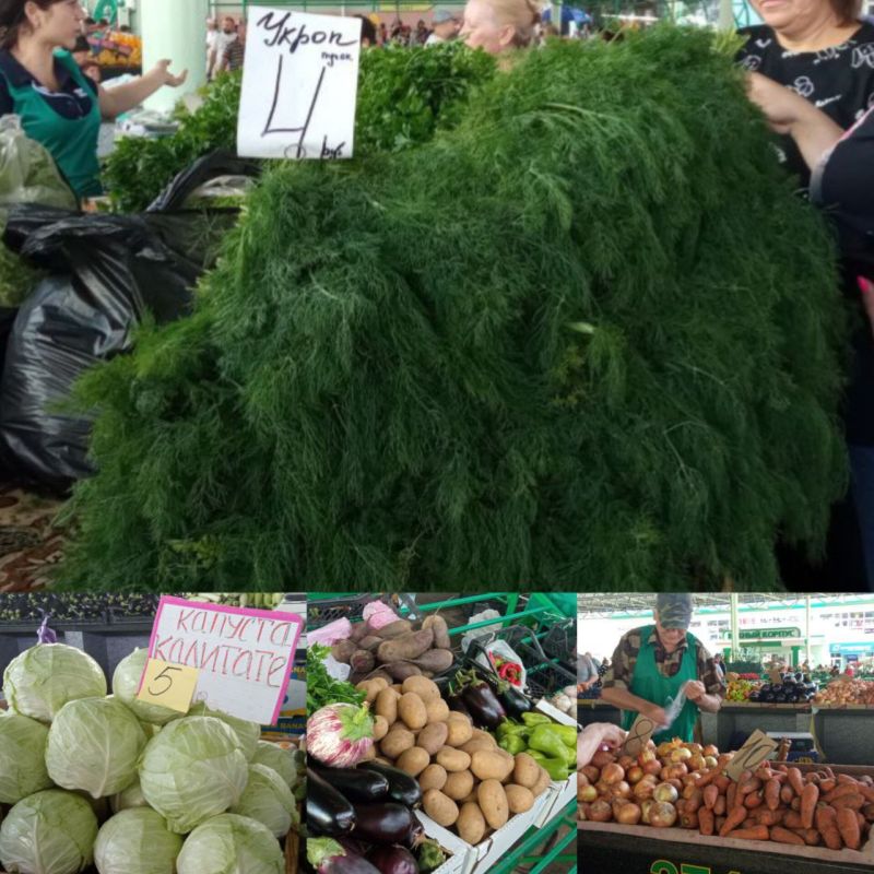 ����� ������ � ���� �� ������� �����: