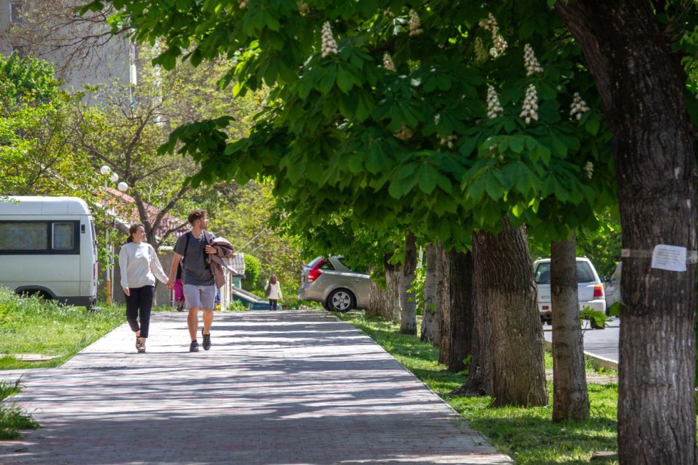 ��� �� ������ �������, ����� ������� ��, ������ � ��� ���������� �������, ����� ������� ����� ������