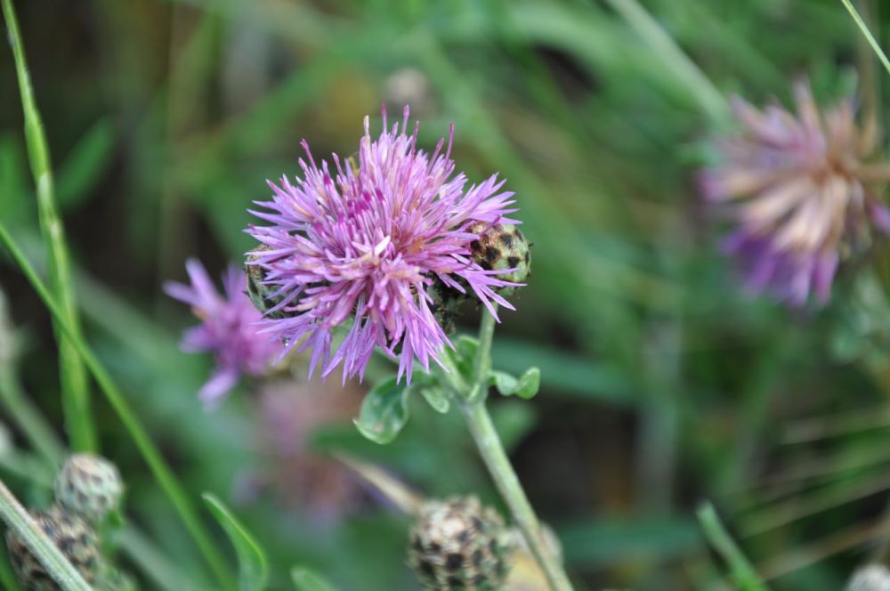 ������� ������. ��������������� ������������� �����������: 10 ������� ��������� ���������� ����������, ��� �������