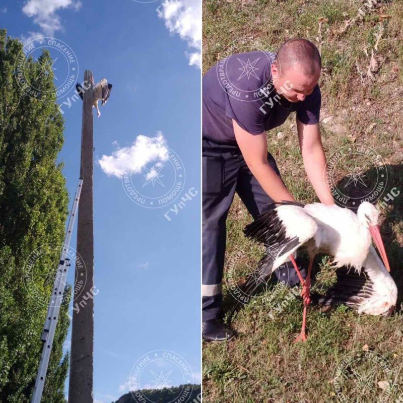 � ������� ��������� ������� �������