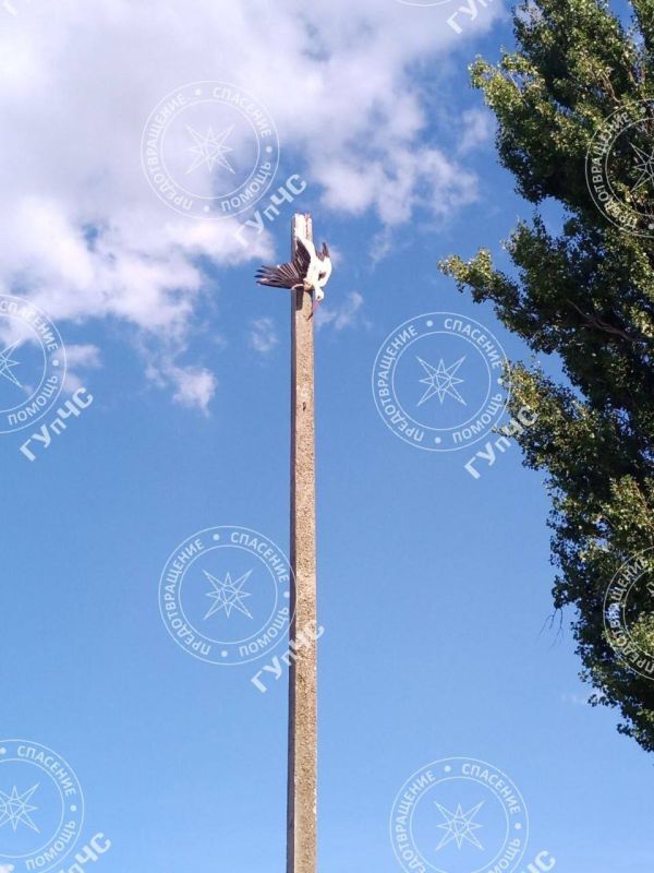 ������ �����. ��������� ���������� ��� ������� ��������� ������������ ��������. ��� ��������� �����, ������� ��������� � ��������� �������������� �����