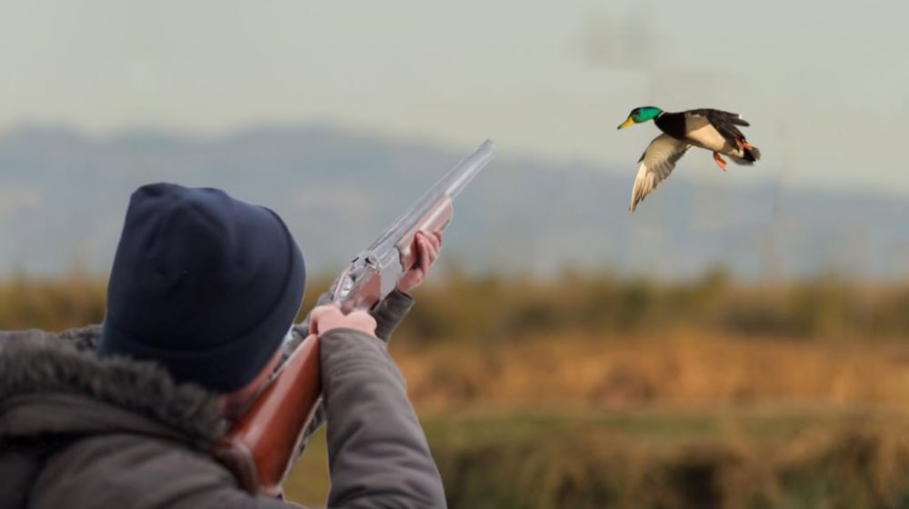 � ������������� ���������� ����� ���������� �����