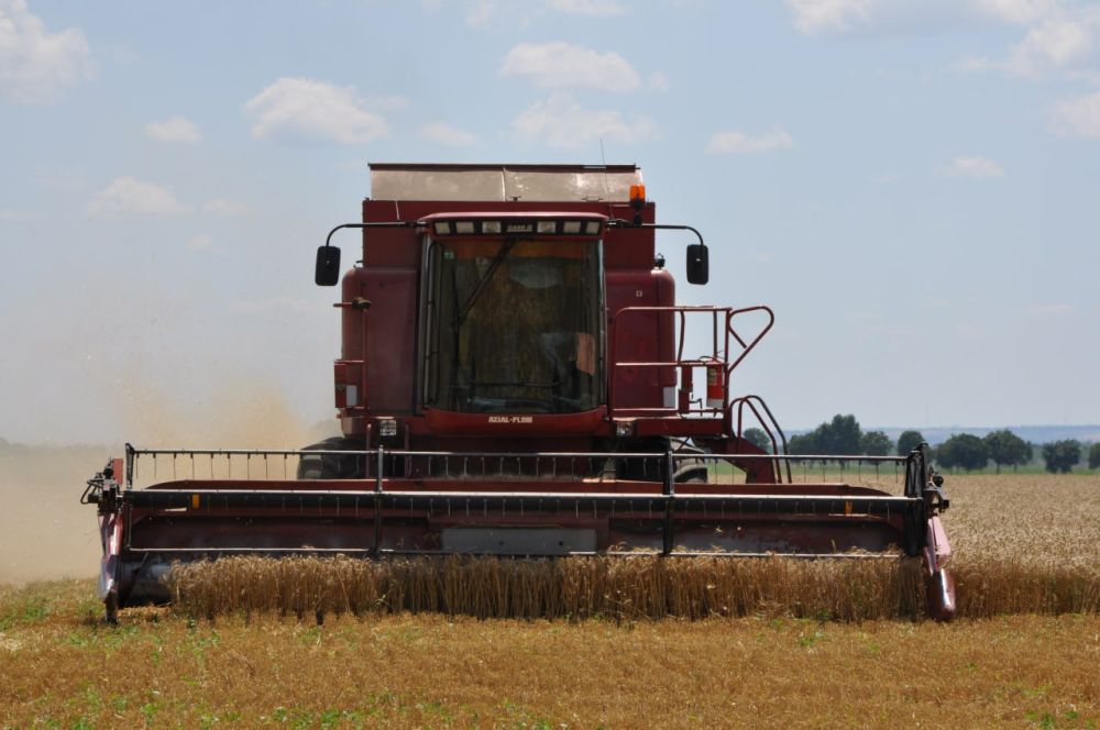 � ������������� ������� 388 ���. ���� ����� ������ ������