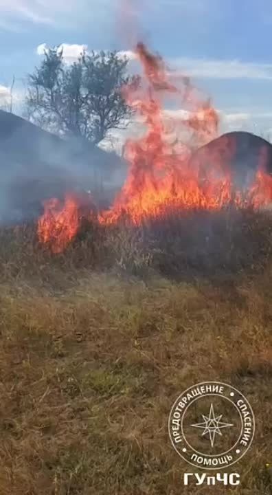 ����� ������ �� ��������� � ����������� �������� ����� ����� - 150 ��������