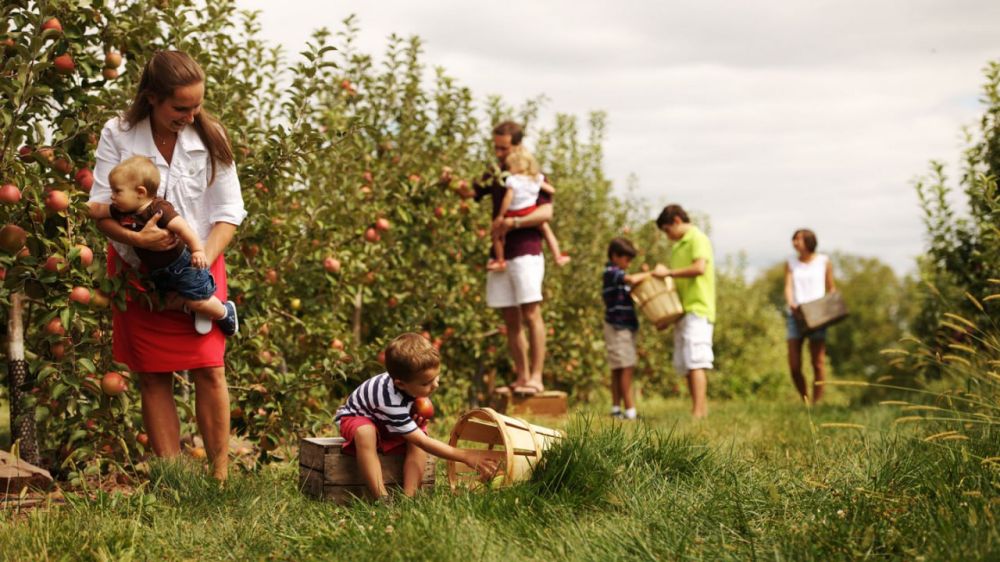 ������� �������: ����������� �������� 1,6 ��� ������ ��� �������� ��������� �������