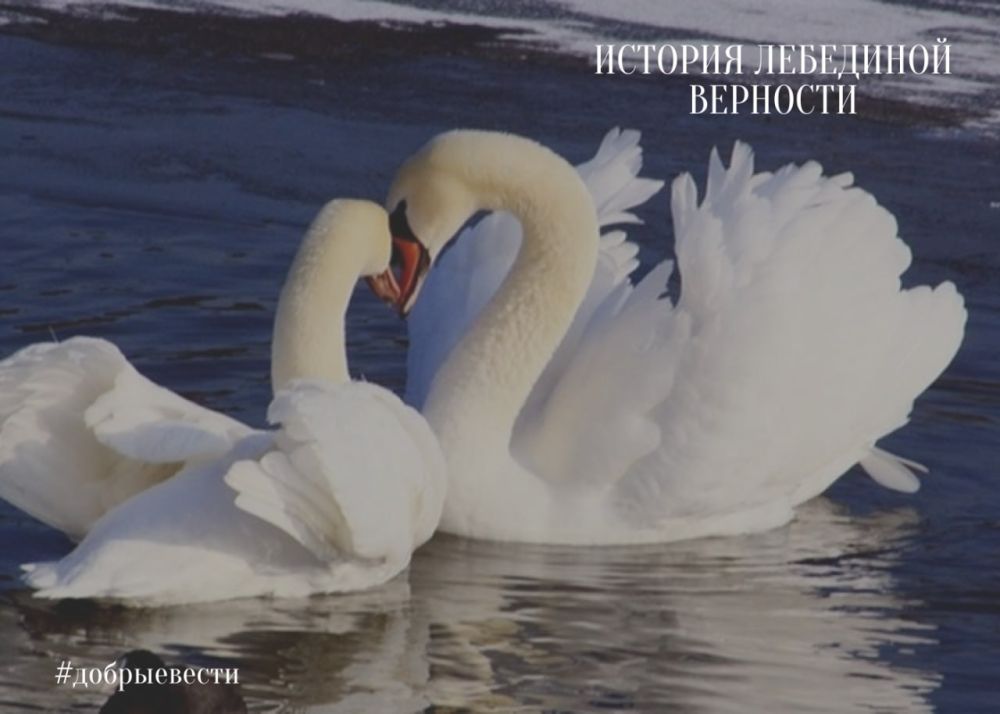 ��� �� ������ ������ � ����� ���� � ������� ������, � �� �� ������� �������� � ����..