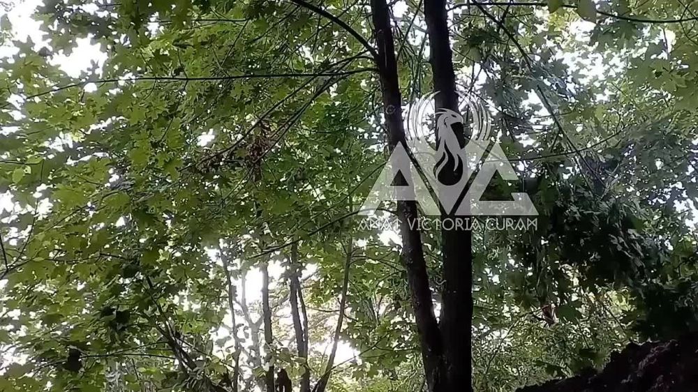 ����� ����������� ��� ������� ���������� �� ����������� �����������